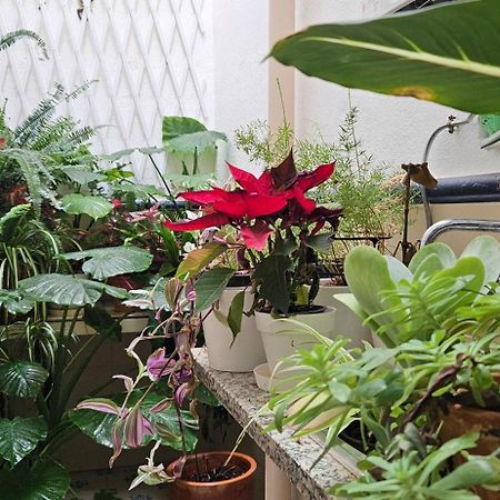 Apartamentos Los Descalzos Free Parking Ronda Ngoại thất bức ảnh