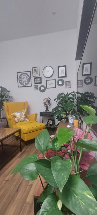 Apartamentos Los Descalzos Free Parking Ronda Ngoại thất bức ảnh