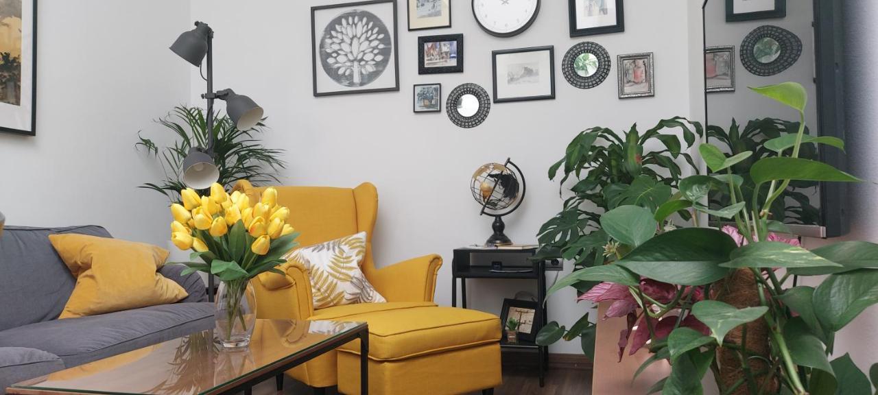 Apartamentos Los Descalzos Free Parking Ronda Ngoại thất bức ảnh