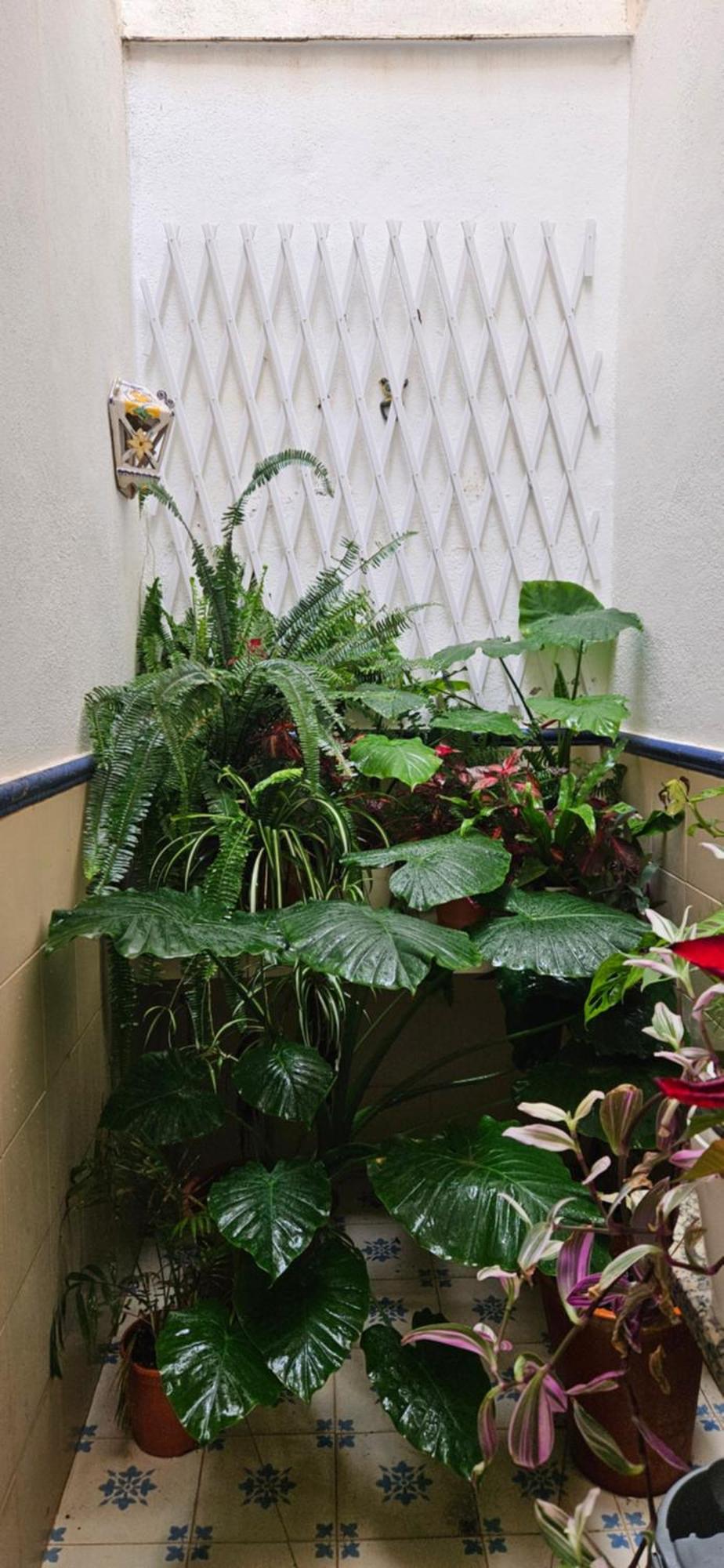 Apartamentos Los Descalzos Free Parking Ronda Ngoại thất bức ảnh